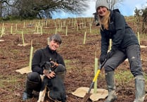 New woodland needs volunteers to plant trees