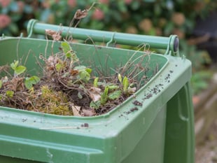 Sign up for garden waste recycling collection anywhere in Somerset