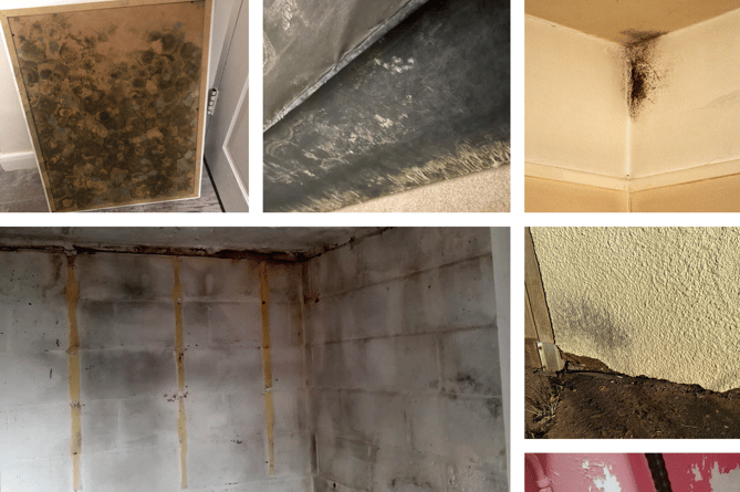 Mould and damp pictured in a number of Magna sheltered housing properties