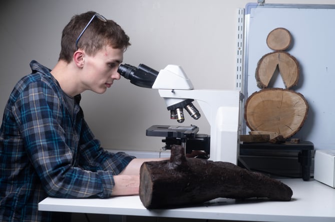 Wessex Archaeology specialist Dr Ed Treasure inspecting Bronze Age wooden fragments from Exmoor peatland under a microscope.