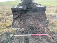 Peatland 'time capsule' gives glimpse of Neolithic Exmoor