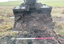 Exmoor peat 'time capsule' uncovers evidence of Neolithic and Bronze Age landscape