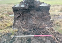 Peatland 'time capsule' gives glimpse of Neolithic Exmoor