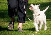 COMMENT: 'Entitled dogs owners on Facebook need to have a day off'