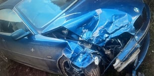 BMW driver crashes while trying to escape police