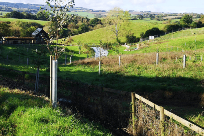 A view of off-grid Browpath Farm, near Stogumber.