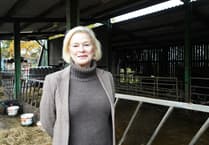 Rachel Gilmour wants Government help to avoid Exmoor farms being put out of business