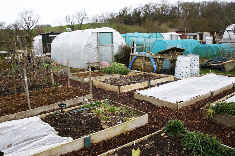 Some of the allotments on the Williton site which has been bought for the village.