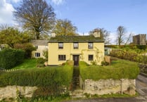 Pair of period cottages for sale offer "delightful" opportunity 