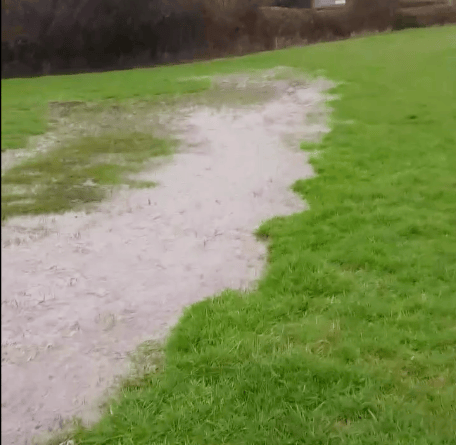 Sewage can be seen flowing through a field in Timberscombe and toward the River Avill.