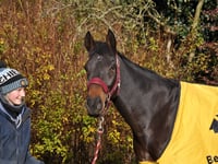 Scott targets more winners in business end of the national hunt season