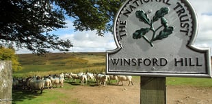 'Sheep allowed but not a shepherd's hut'