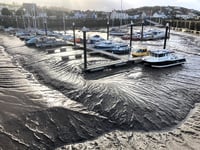 MP brands Watchet marina "sorry spectacle" 