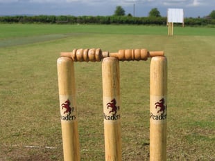 Somerset submit bid for professional women's cricket