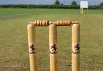 Somerset submit bid for professional women's cricket