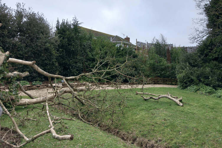 Some of the woven hazel panels can be seen on the boundary of Chapel Cleeve Manor.