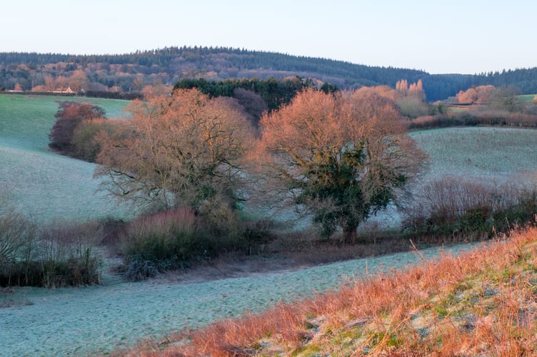 A new partnership aims to turn New Stowey Farm into an exemplar of how climate change can be combatted.