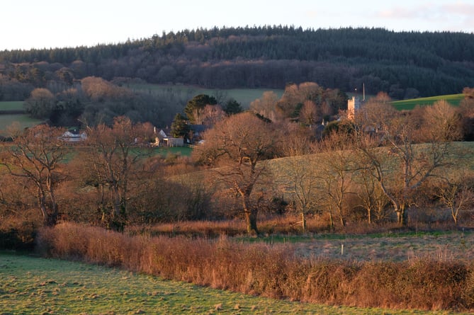 A view of New Stowey Farm, on the Quantock Hills.