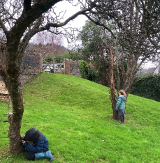 Sounds collected from an orchard helped pupils of St Dubricius First School, Porlock, compose a 'five seasons' symphony.