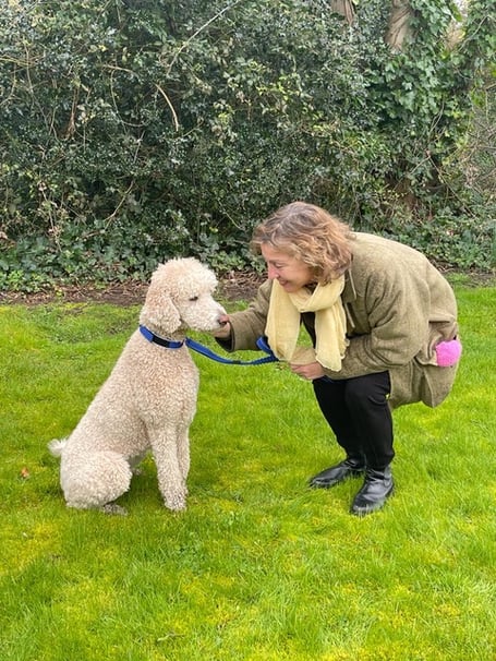 The MP for Taunton Deane has thrown her support behind a bill to tackle the smuggling of puppies