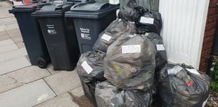 Residents told 'don't feed the bin' in food waste campaign