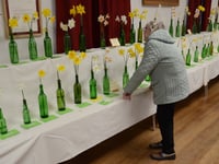 Successful village spring flower show