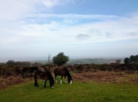 West Somerset Free Press Letters