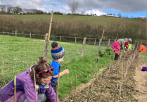 Exmoor's Good Vibe Veg see volunteers plant wild harvest hedge near Porlock