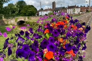 Some of last year's regional winning Cannington in Bloom displays.