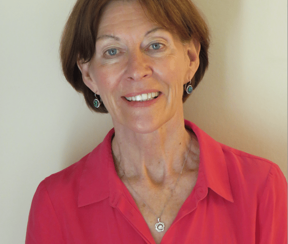 Former Somerset County Council chief executive Sheila Wheeler, who has been appointed a Deputy Lord Lieutenant.