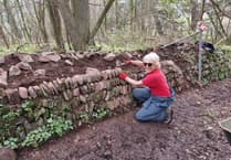Volunteers breathe new life into centuries-old dry stone wall on Exmoor