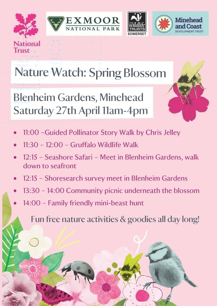 Spring blossom event Minehead