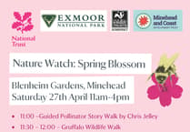 Blossom celebration kick starts springtime nature events in Minehead