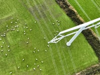 Major milestone for electricity connection project