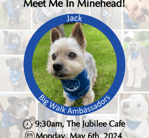 ‘The Big Walk’ fundraiser to support terminally ill patients and their beloved pets taking place in Minehead