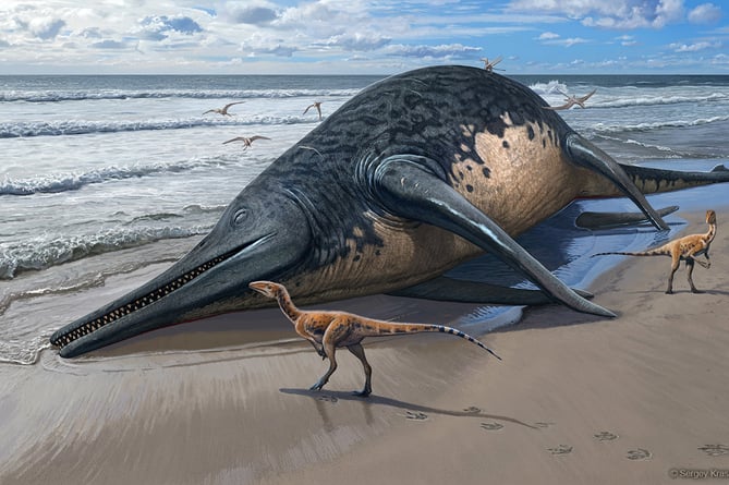 A washed-up Ichthyotitan severnensis carcass on the beach. By Sergey Krasovskiy