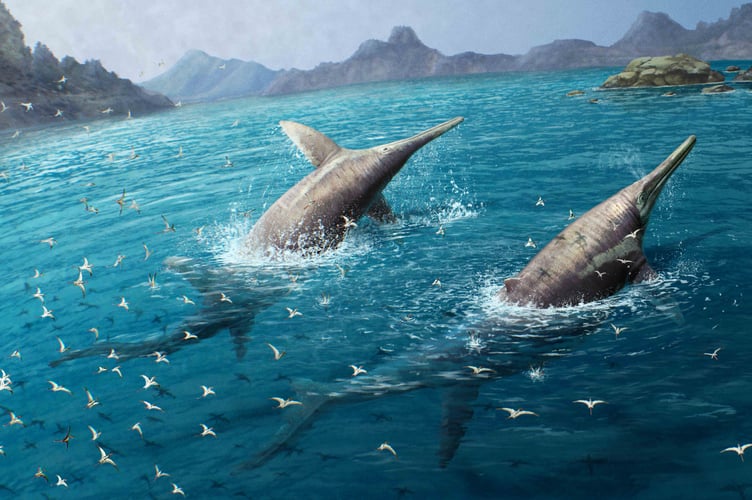 A giant pair of swimming Ichthyotitan severnensis. By Gabriel Ugueto. 