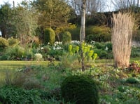 Garden opening supports children's hospice