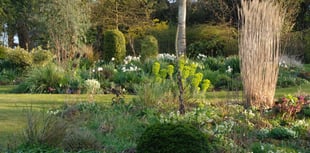 Garden opening supports children's hospice