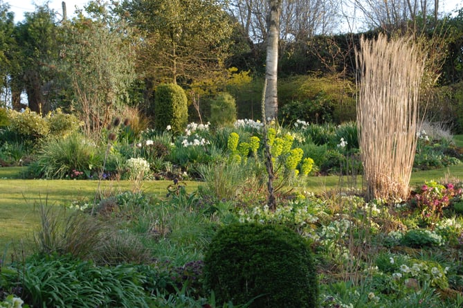 Elworthy Cottage garden which is open on April 23 for the National Garden Scheme.
