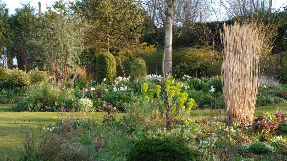 Elworthy Cottage opening garden to raise funds for Children's Hospice South West 