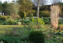 Elworthy Cottage opening garden to raise funds for Children's Hospice South West