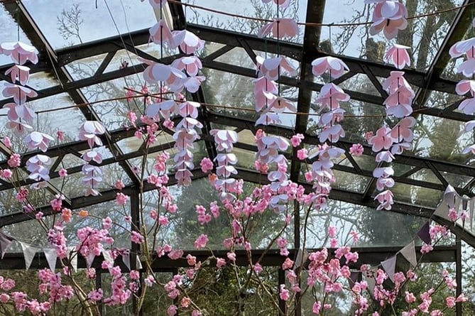 The display of crochet blossom flowers in the Lorna Doone Valley greenhouse, on Exmoor.