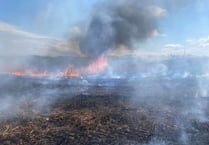 Acres of crops destroyed in separate field fires