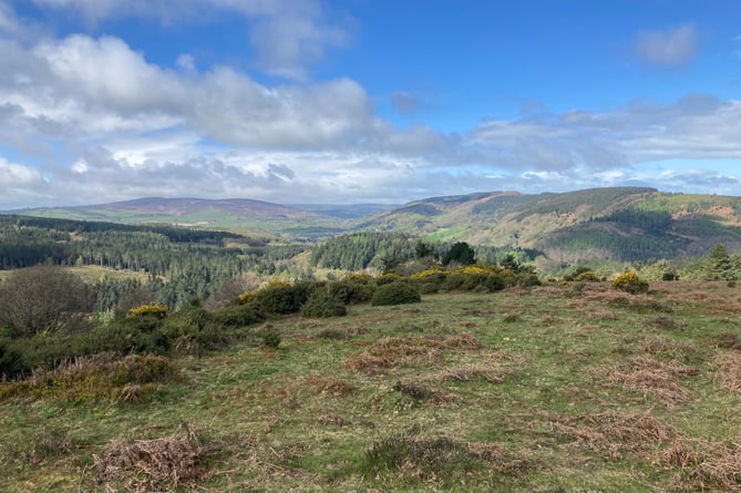Views of the Aville Valley from Bat’s Castle in beautiful April light (Geoff Dibble)