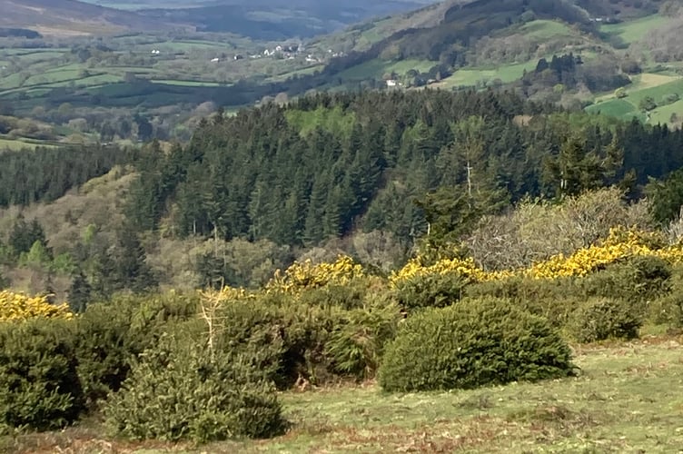 Views of the Aville Valley from Bat’s Castle in beautiful April light (Geoff Dibble)