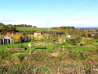 Village gardeners hit by 'copycat' thefts