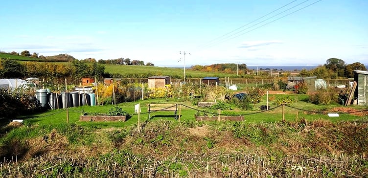 The allotments in Carhampton which have been targeted by thieves.