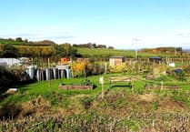'Copycat' thieves raid sheds on community allotments in Carhampton and Williton