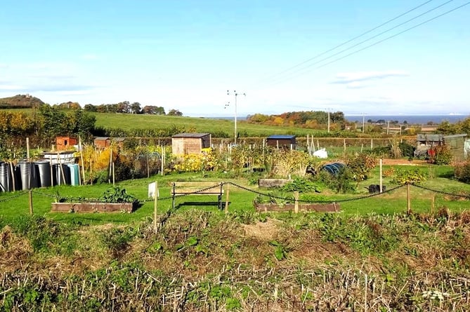 The allotments in Carhampton which have been targeted by thieves.